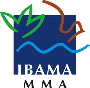 IMABA MMA